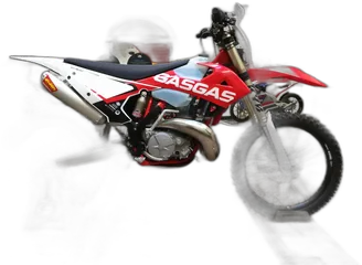 GasGas EC 450F
